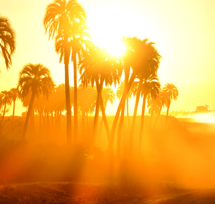 Hot Sun