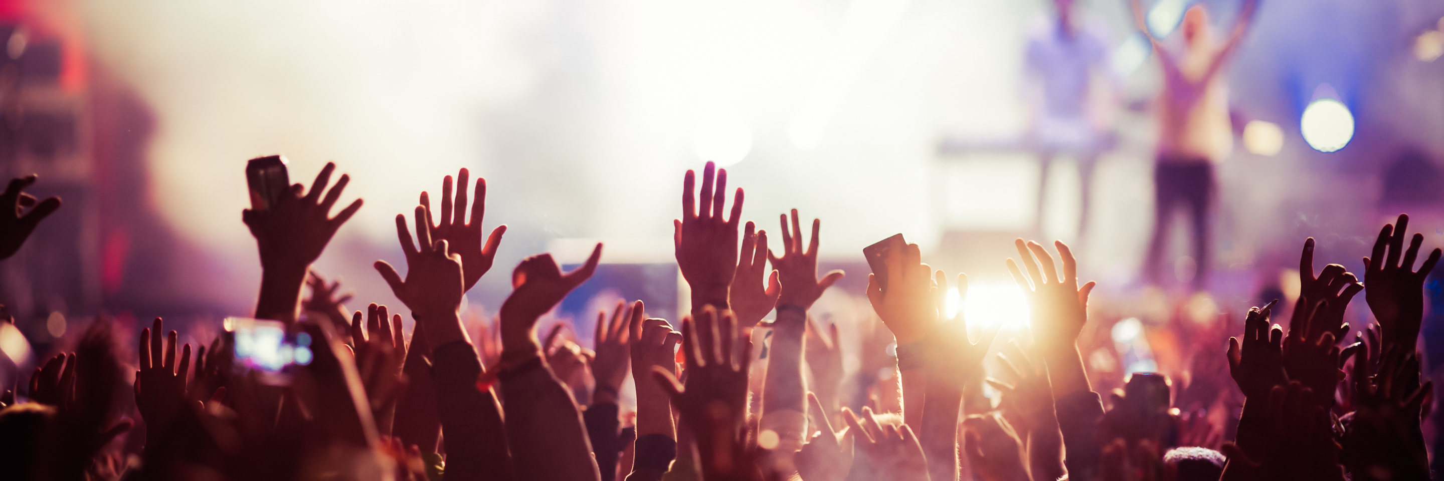 Crowd concert