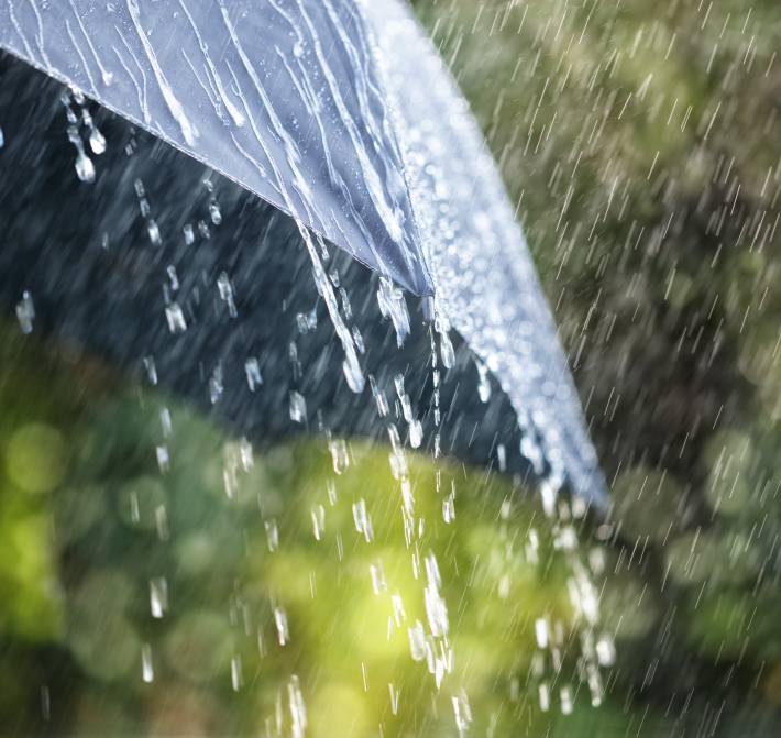 Rain
